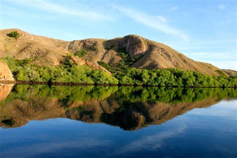 Komodo National Park - Land of Myths and Legend | DinoAnimals.com