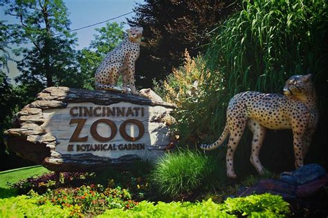 Cincinnati Zoo | Flickr - Photo Sharing!