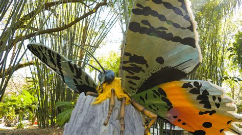 BUGTOPIA opening at ZooTampa - That's So Tampa