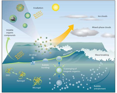 Ocean Derived Sea Spray Aerosol | The Aerosol Research Laboratory