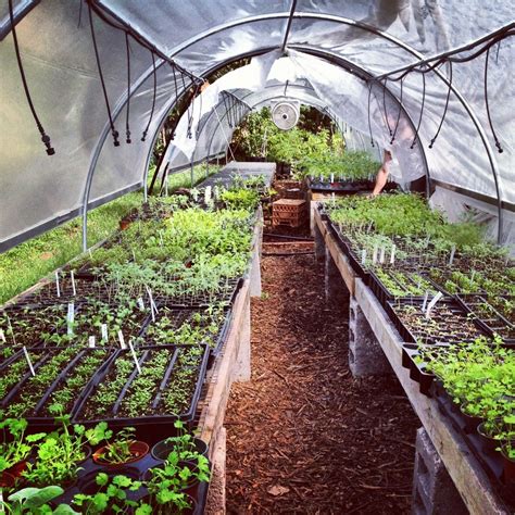 Vegetable Greenhouse Ideas