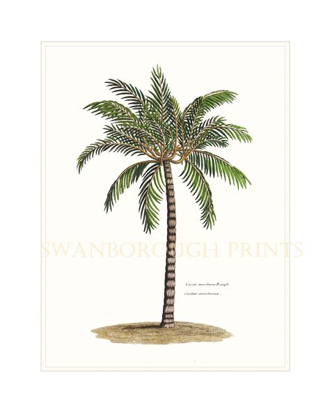 Palm Tree Art Print. Palm Tree Painting Print. Beach Wall - Etsy UK