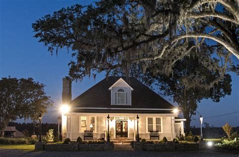 Big-Time Quail Hunting at SouthWind Plantation in Georgia