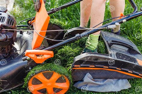 Cropped Gardener Raking Fresh Green Grass Out Lawn Mower or Grass Cutter in the Garden ...