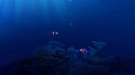 Life Underwater Wallpapers | HD Wallpapers | ID #28893