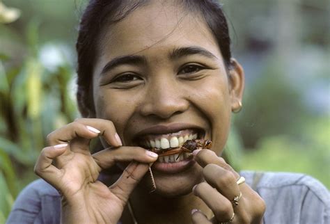 Michael Freeman Photography | A Thai girl eating fried grasshopper..A ...