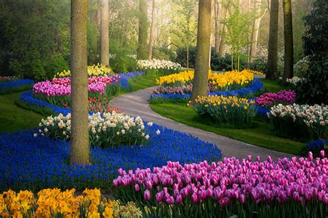 Photographer Captures The Keukenhof Tulip Gardens Empty For The First ...