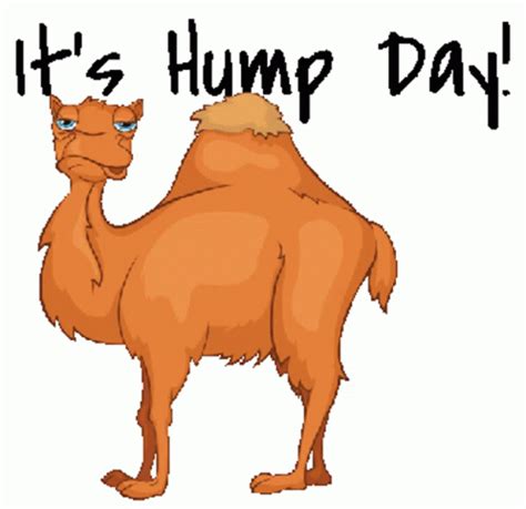 Wednesday Hump Day Motivation Animated Stickers Sticker – Wednesday Hump Day Motivation Animated ...