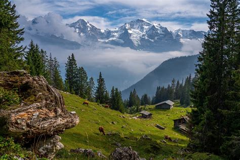 Isenfluh-Sulwald, Switzerland. Hiking trail that takes you through a dairy farm. OC. : backpacking