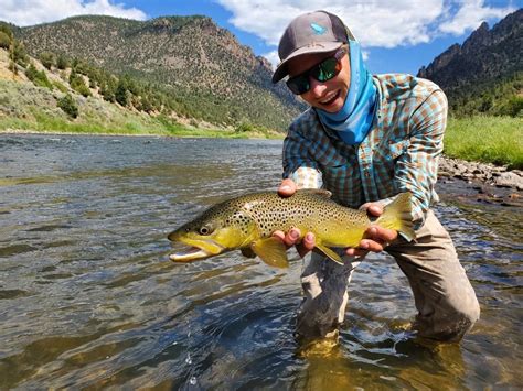 Colorado River Fly Fishing Report: August 2020 - CO Angling Company