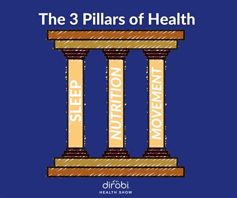 The Three Pillars of Health with Dr. Todd Lamb - Dirobi Blog