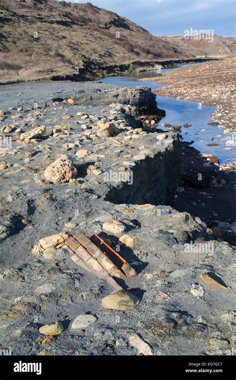 Blackhall Colliery beach showing depostion of coal mining waste, County ...