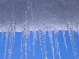 Free Stock photo of Snow and Icicles on Sky Blue Background ...