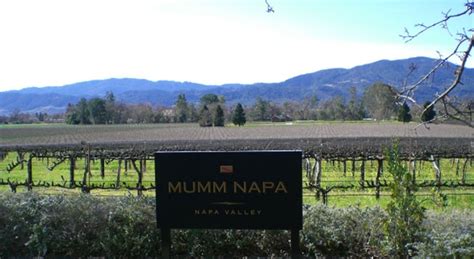 Mumm Napa