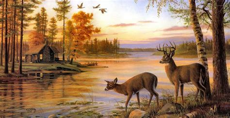 The Uncommonly Beautiful Truth About Deer Drinking Water