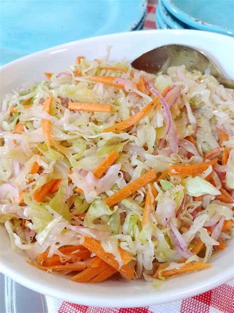 Sweet and Tangy Vinegar Coleslaw - Jett's Kitchen