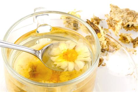 Chrysanthemum Tea Recipe (Updated 2024)