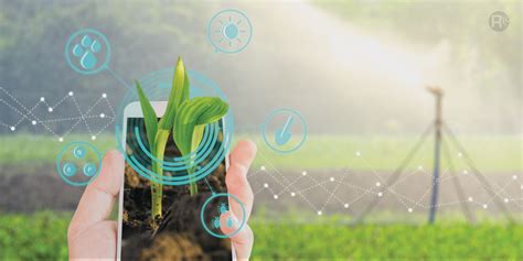 IoT in Agriculture: Applications and Advantages