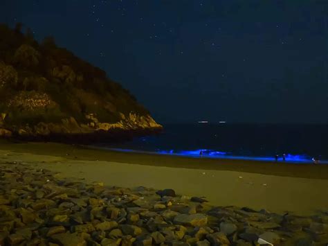 Coolest night beaches in India that glow in the dark! | Times of India Travel