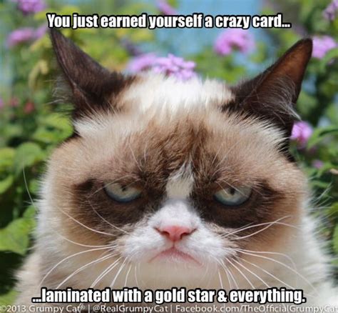 Congratulations, you must be so proud. | Grumpy cat, Grumpy cat humor, Grumpy cat meme