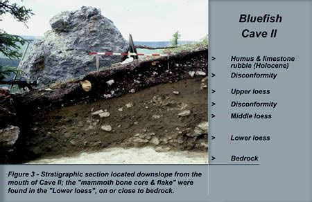 Significance of the Bluefish Caves in Beringian Prehistory | Essays | Resources For Scholars ...