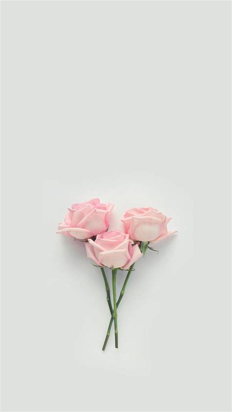 Pink roses #wallpaper #lockscreen #background Flower Background ...