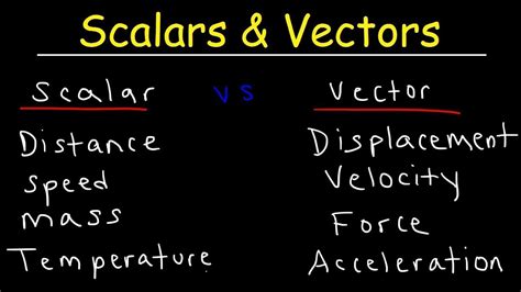 DIFFERENCE BETWEEN SCALAR AND VECTOR QUANTITIES - YouTube