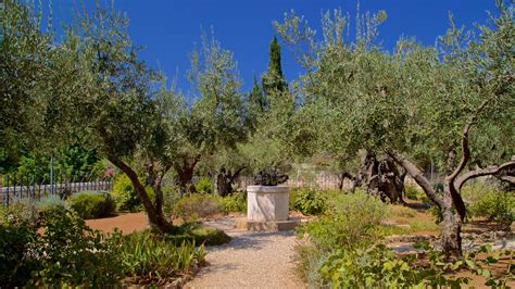 Top 10 Hotels Closest to Garden of Gethsemane in Jerusalem from $56 | Expedia