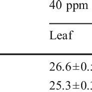 (PDF) Spray drying of Tinospora cordifolia leaf and stem extract and evaluation of antioxidant ...