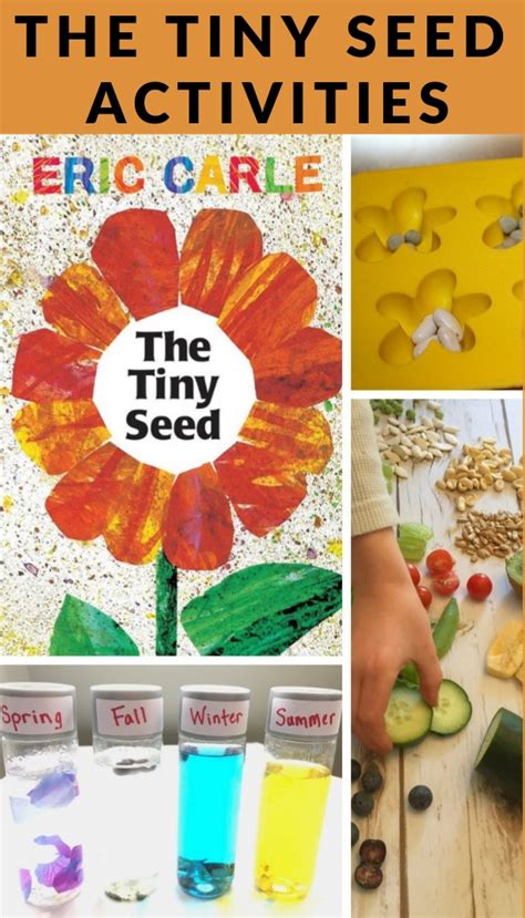 The Tiny Seed Activities That Engage Kids in Learning