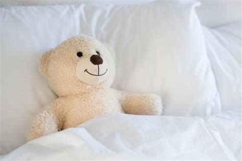 Teddy bear on bed - Coldwell Banker Blue Matter