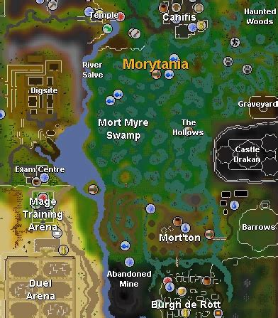 OSRS Swamp Tar Guide - VirtGold