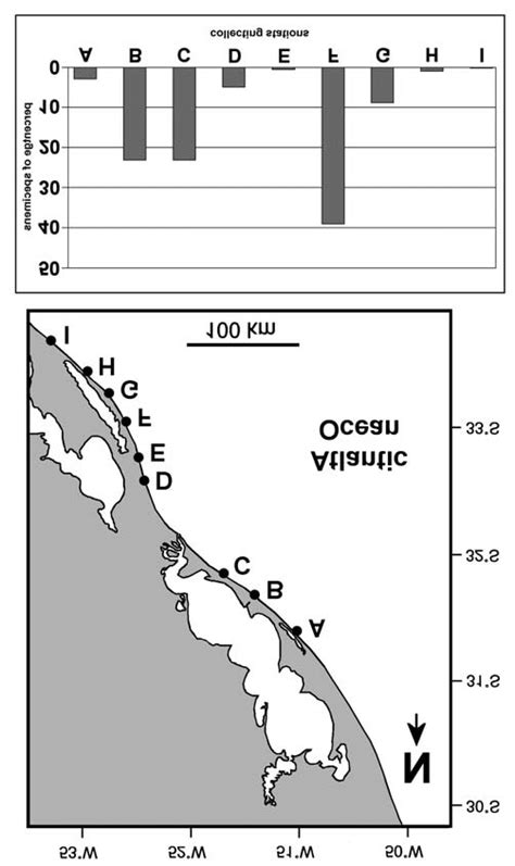 Location of the fossil collecting stations. A, Mostardas; B, Conceição... | Download Scientific ...