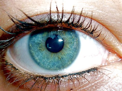 Bright Blue Eyes | my girlfriend's eye | Andrea Pisani | Flickr