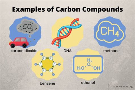 Carbon Compounds and Examples