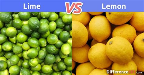 Lime vs. Lemon: Differences, Pros & Cons, Health ~ Difference 101