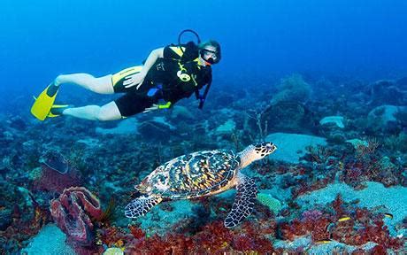 State of the Art Scuba Facility to Boost Saint Lucia’s Tourism Product - SLHTA