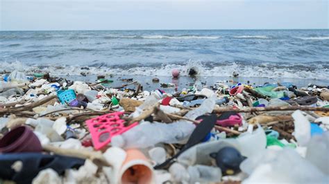 Ocean Plastic Explained • The Ocean Cleanup