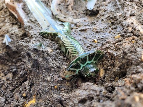 Well-preserved 3,000-year-old sword found in Germany