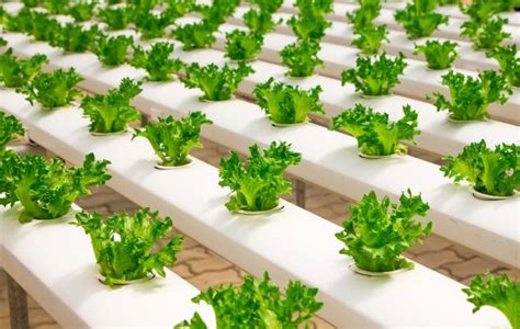 Space Farming NASA Advanced Food Technology Project | Inhabitat - Green Design, Innovation ...