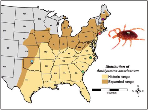 —Historic and current expanded distribution of Amblyomma americanum ...