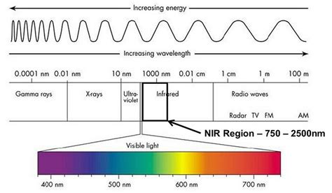 How does Near-infrared spectroscopy work? - NIRLAB