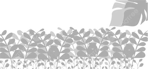 Plant Shadow Background, Plant, Background, Shadow Background Image for ...