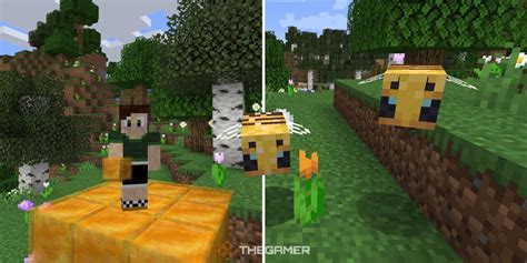 How To Spawn Bees In Minecraft