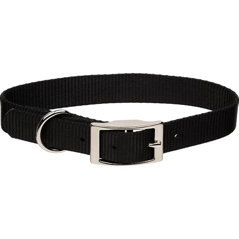 Coastal Pet Metal Buckle Nylon Personalized Dog Collar in Black, 3/8" Width | Petco