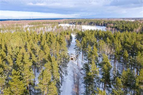 Aerial view of winter forest covered in snow. drone photography 5088086 ...