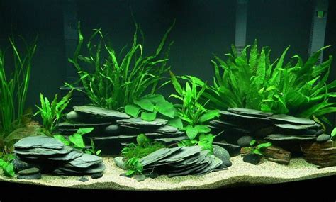 DIY Stacked Slate Caves | Tropical fish tanks, Fresh water fish tank, Aquarium fish tank