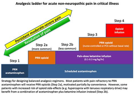 PulmCrit- Reengineering the analgesic ladder for critically ill patients