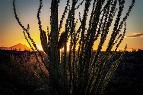 South Mountain Sunset Photograph by Sonny Marcyan - Fine Art America