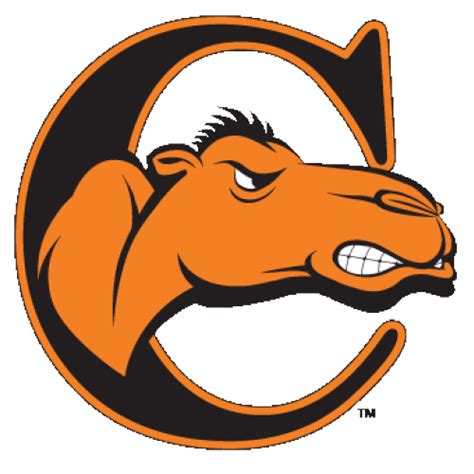 logo_-Campbell-University-Fighting-Camels-Camel-Head-C - Fanapeel